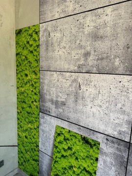 Декоративная стеновая панель Мох Мох 100х50 см архитектурный бетон