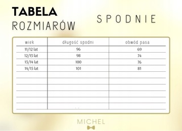 Костюм для мальчика АЛЕКС - 11/12 лет.