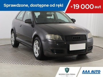 Audi A3 8P Hatchback 3d 1.9 TDI 105KM 2004 Audi A3 1.9 TDI, Klima, Klimatronic,ALU, El. szyby