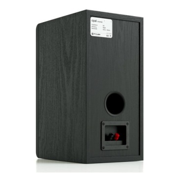 ДИНАМИКИ МОНИТОРА PYLON AUDIO OPAL + МАСКИ БЕСПЛАТНО