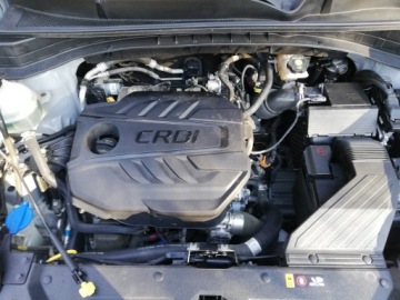 Kia Sportage IV 2020 Kia Sportage IV 1.6 CRDI MHEV 136 PS, zdjęcie 31