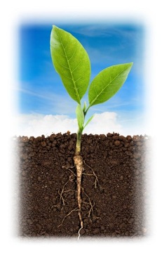 УНИВЕРСАЛЬНЫЙ ГРУНТ ДЛЯ ЦВЕТОВ БИОВИТА 50л