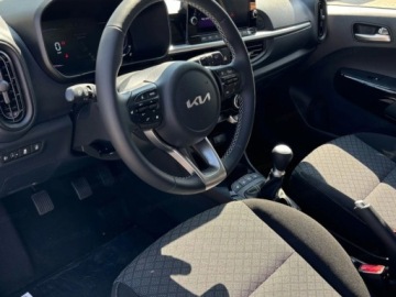 Kia Picanto III Hatchback 5d Facelifting 1.0 DPI 67KM 2026 KIA Picanto 1.0 GDI Business Line Hatchback 68KM 2026, zdjęcie 5