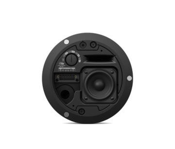Bose DesignMax DM2C-LP