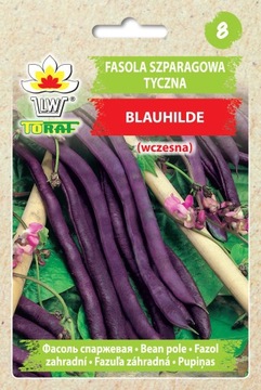 FASOLA SZPARAGOWA TYCZNA FIOLETOWOSTRĄKOWA BLAUHILDE WCZESNA NASIONA 10G