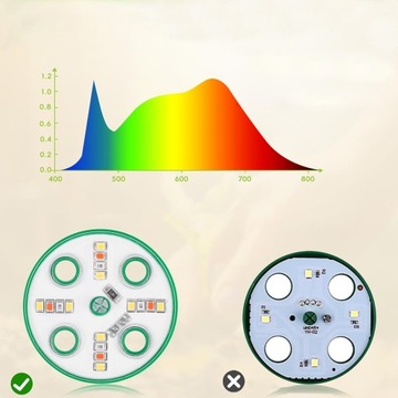 НАБОР 5 X МИНИ-ТЕПЛИЦЫ МИНИ-ТЕПЛИЦЫ НАБОР ПОСАДОВ ДЛЯ ТЕПЛИЦЫ