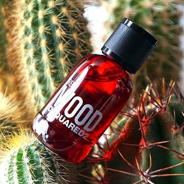 DSQUARED2 RED WOOD POUR FEMME EDT БУТЫЛКА 100 МЛ + КРЫШКА x