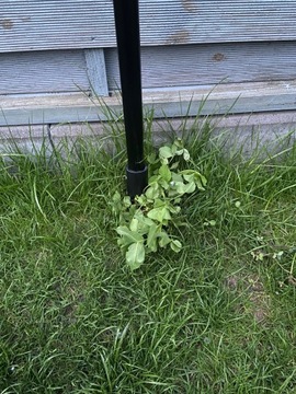 Устройство для удаления сорняков, идеальное для приусадебного участка или сада.