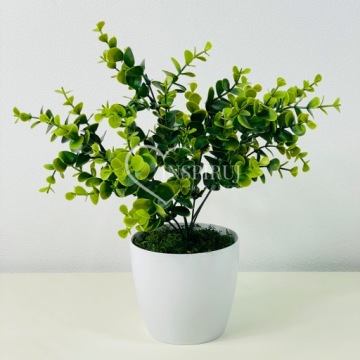 ЭВКАЛИПТ В ГОРШКЕ ЦВЕТ В ГОРШКАХ ИСКУССТВЕННЫЕ ЦВЕТЫ ДЛЯ ОФИСА ЛИСТЬЯ