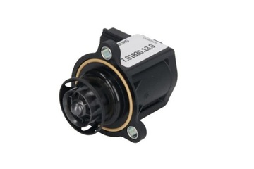 Elektr zawór sterujący (12V) PIERBURG 7.01830.13.0