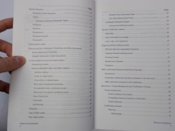 Кодификация стандартов бухгалтерского учета, том 1 / 2010 г.