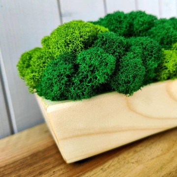 Деревянный цветочный горшок 60 см с КРЕСТОВЫМ МХОМ, длинный, натуральный мох.