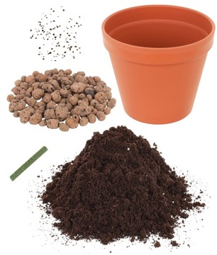 Подарок на День матери, подарок с живыми камнями для мамы, набор для выращивания мамы