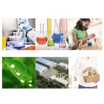 GROTHEN DC 12 В Дозирующий насос Перистальтический насос