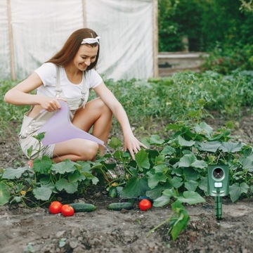 УЛЬТРАЗВУКОВОЙ ОТПУСКАТЕЛЬ ДЛЯ СОБАК, КОШЕК, ЛИС, ЛИС, КАБАНОВ, ПТИЦ-КОРОЛЯ
