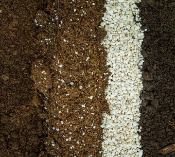 Субстрат для Калатеи Маранты Строманте ПРЕМИУМ