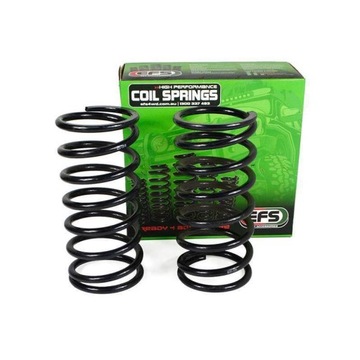 WZMOCNIONE SPRĘŻYNY TYLNE LIFT +40 MM PAJERO SPORT EFS 100/250 KG