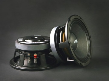 Однополосные автомобильные колонки STREET SOUND - BLACK80 (550W) SPL 20см