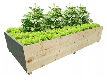 WARZYWNIAK ZIELNIK INSPEKT SKRZYNIA 240x100x30 EKO DREWNIANY WYSOKI