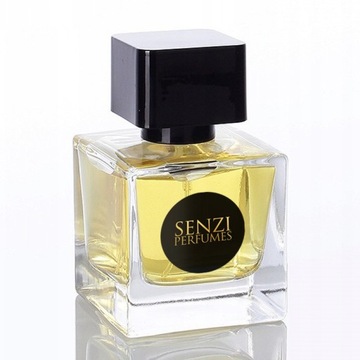 Rush Men Gaccin 269 Perfumy Męskie Wycofane Drzewno Aromatyczne Trwałe 30ml