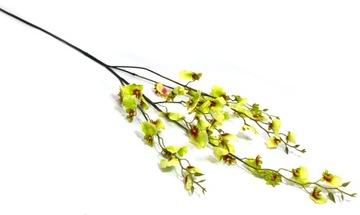 ОНЦИДИУМ ОРХИДЕЯ ДЛИННАЯ ЗЕЛЕНАЯ ВЕТКА 120см