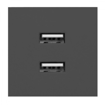 PODWÓJNY PORT MODUŁOWY Z ŁADOWARKĄ USB 2,1A 5V DC