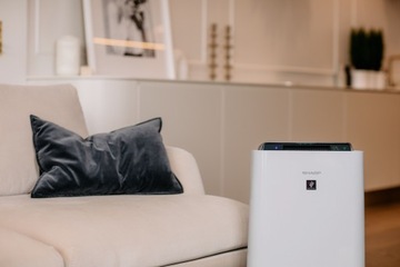 Очиститель воздуха и увлажнитель воздуха Sharp UA-HD60E-L