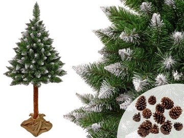 Choinka Sosna Diamentowa 3D na Pniu 180cm +Syszki - Idealna do Świąt