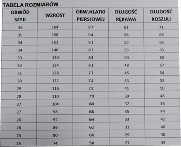 РУБАШКА ДЛЯ МАЛЬЧИКОВ, БЕЛАЯ, С ЗАКРЫТЫМИ ПУГОВИНАМИ 34/152