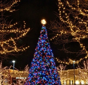 РОЖДЕСТВЕНСКИЕ ОГНИ 1000 СВЕТОДИОДНЫХ НАРУЖНЫХ ФИКСИРОВАННЫХ ВСПЫШОК, ТОЛЩИЙ КАБЕЛЬ, МУЛЬТИ-ШТОРА