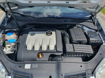 Volkswagen Golf V Hatchback 1.9 TDI 105KM 2004 Volkswagen Golf 1.9tdi 105KM 5 Drzwi Klima Raty, zdjęcie 16