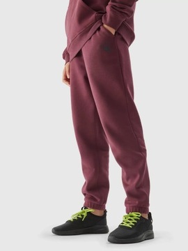 ДЕТСКИЕ СПОРТИВНЫЕ БРЮКИ 4F ДЛЯ МАЛЬЧИКОВ, ХЛОПОК AW23M419