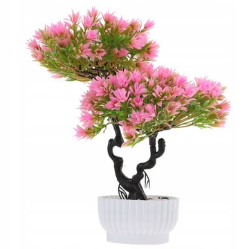 Drzewo pieniędzy Bonsai Doniczkowe Bonsai Pin