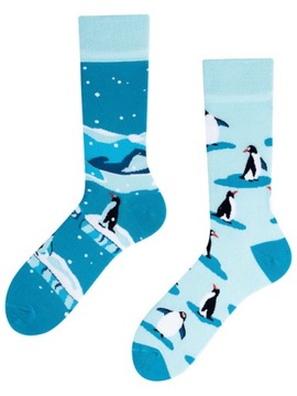 Skarpetki polskiej firmy TODO SOCKS PINGWIN 39-42