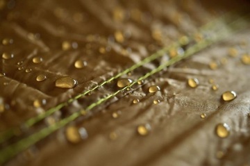 Брезент приключений Амазонас