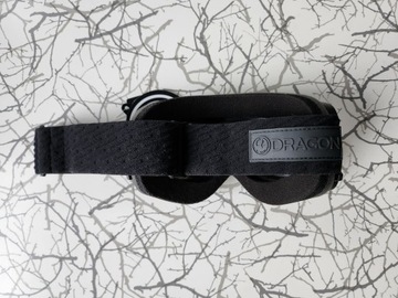 Лыжные очки Dragon NFX2 Midnight Luma Lens Bonus Lens Violet