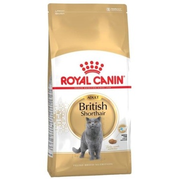ROYAL CANIN ADULT BRITISH SHORTHAIR BRYTYJSKI 4 KG