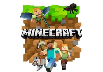 DTF Transfer Naprasowanka na Ubrania Minecraft