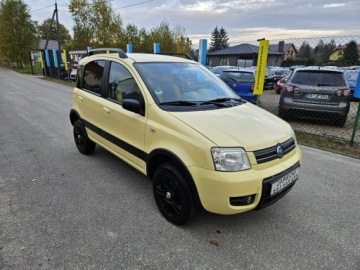 Fiat Panda II Hatchback 5d 1.3 i 16V Multijet 4X4 70KM 2006 Fiat Panda Opłacona Zdrowa Zadbana Serwisowana, zdjęcie 2