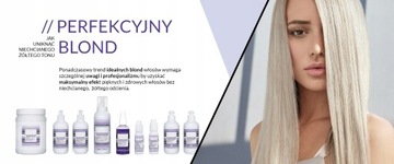 Eslabondexx Purple Mask Blonde Hair 250 мл