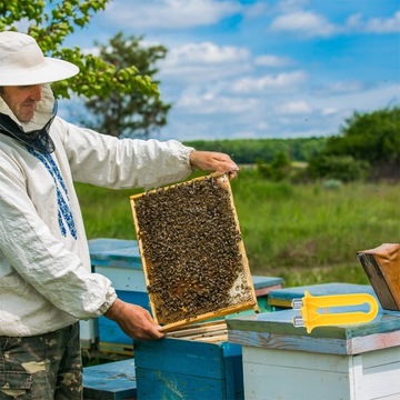 UL WIRE TIGHT 2 ШТ.