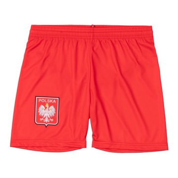 Футбольный комплект LEWANDOWSKI POLSKA 9 + носки