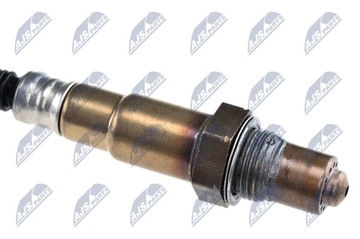 ESL-AU-007 NTY ЛЯМБДА NTY ЗОНД