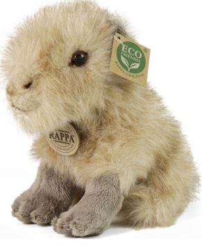 KAPIBARA WIELKA MASKOTKA CAPYBARA PLUSH ECO