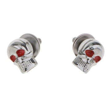 1 пара винтов рамки номерного знака с черепом