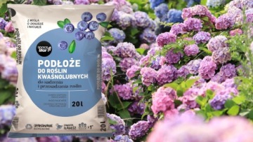 ПОЧВА ДЛЯ ЧЕРНИКИ И КЛЮКЛЫ СУБСТРАТ 20л