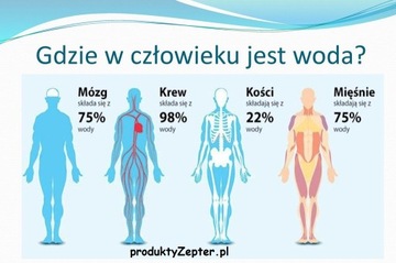 Filtr do wody Edel Wasser Zepter + montaż gratis