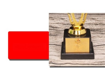 NAGRODA TROFEUM NAGRODA GRY TROFEUM WYSIŁKU TROFEUM ZŁOTEJ GWIAZDY TROFEUM