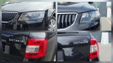 Skoda Octavia III 2017 Skoda Octavia JOY___1.6TDi 110KM DSG___Xenon LED Navi Alcantara___Pelna Hi, zdjęcie 16