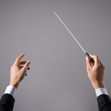 2 шт. Музыкальная палочка-проводник Музыкальная палка-лидер Известный дирижер